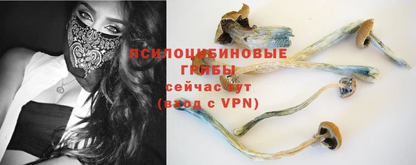 твердый Белокуриха