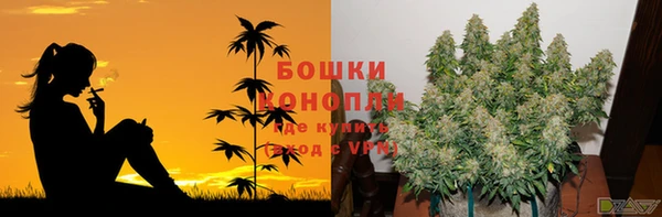твердый Белокуриха